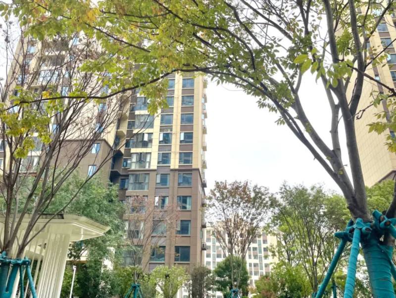 急風(fēng)暴雨中 ，這幫人還在悄悄地忙個不停！